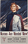 army nurse corps