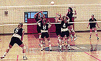 volleyball 